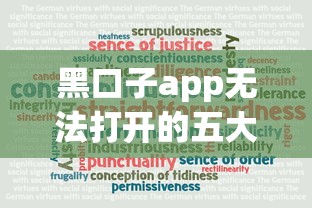 黑口子app无法打开的五大原因