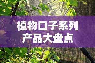 植物口子系列产品大盘点