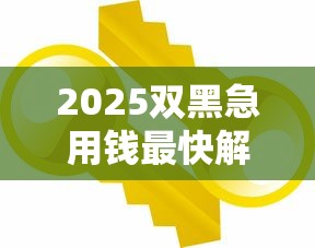 2025双黑急用钱最快解决办法