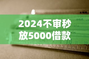 2024不审秒放5000借款新渠道