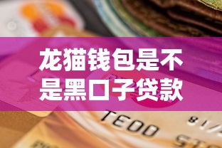龙猫钱包是不是黑口子贷款平台