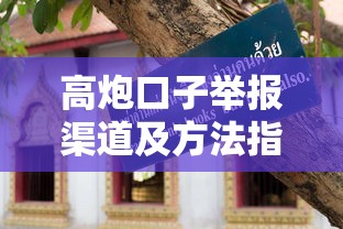 高炮口子举报渠道及方法指南