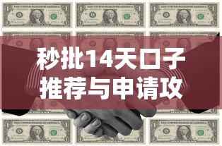 秒批14天口子推荐与申请攻略