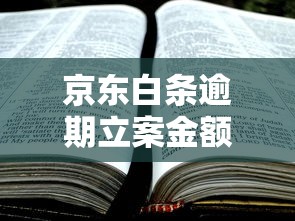京东白条逾期立案金额标准解析