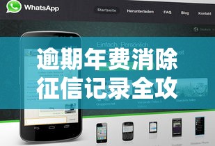 逾期年费消除征信记录全攻略