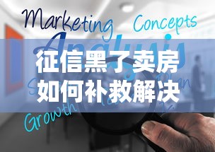 征信黑了卖房如何补救解决方案