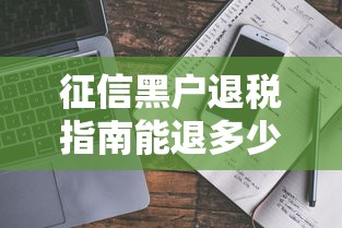 征信黑户退税指南能退多少