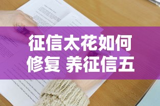 征信太花如何修复 养征信五大技巧