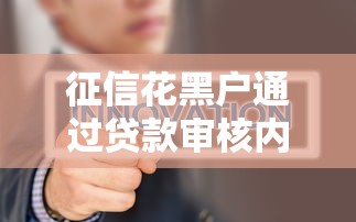 征信花黑户通过贷款审核内幕