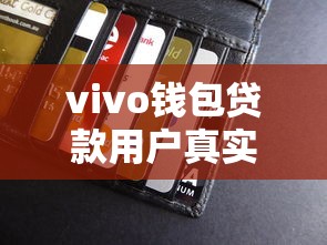 vivo钱包贷款用户真实经历分享