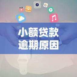 小额贷款逾期原因及应对策略