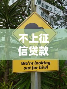 不上征信贷款真的能钻空子吗 不上征信贷款真的能钻空子吗