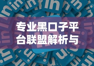 专业黑口子平台联盟解析与指南