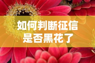 如何判断征信是否黑花了