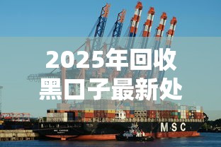 2025年回收黑口子最新处理方案
