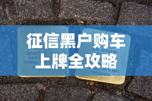 征信黑户购车上牌全攻略