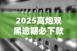 2025高炮双黑逾期必下款口子合集