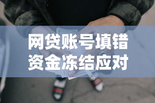 网贷账号填错资金冻结应对指南