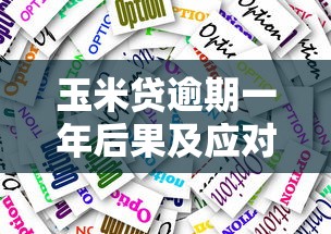 玉米贷逾期一年后果及应对方案