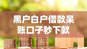 黑户白户借款呆账口子秒下款