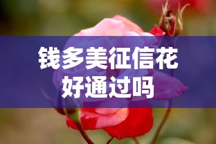 钱多美征信花好通过吗