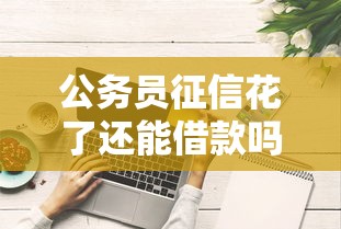 公务员征信花了还能借款吗