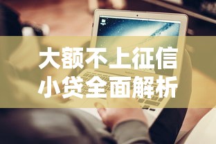 大额不上征信小贷全面解析