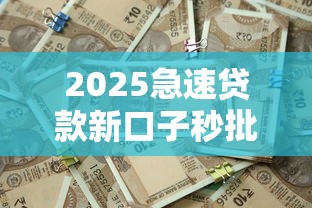 2025急速贷款新口子秒批放款