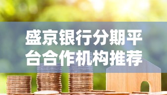 盛京银行分期平台合作机构推荐