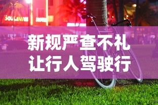 新规严查不礼让行人驾驶行为