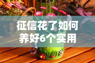 征信花了如何养好6个实用技巧