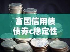 富国信用债债券c稳定性分析