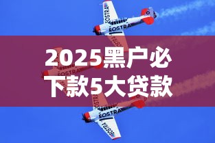 2025黑户必下款5大贷款平台