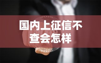 国内上征信不查会怎样