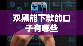 双黑能下款的口子有哪些