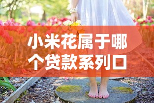 小米花属于哪个贷款系列口子