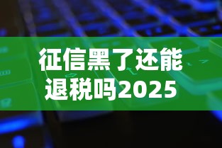 征信黑了还能退税吗2025新规