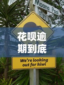 花呗逾期到底上不上征信