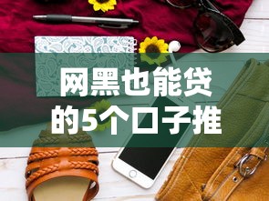 网黑也能贷的5个口子推荐
