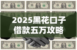 2025黑花口子借款五万攻略