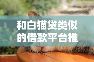 和白猫贷类似的借款平台推荐