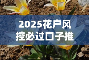 2025花户风控必过口子推荐