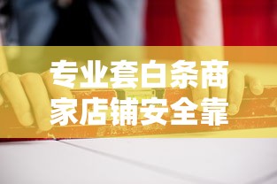 专业套白条商家店铺安全靠谱推荐