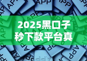 2025黑口子秒下款平台真实评测