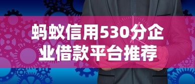 蚂蚁信用530分企业借款平台推荐