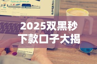 2025双黑秒下款口子大揭秘