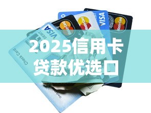 2025信用卡贷款优选口子