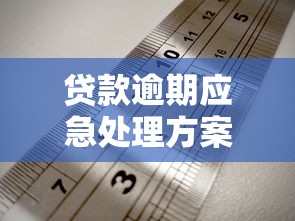 贷款逾期应急处理方案指南