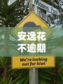 安逸花不逾期会上征信吗