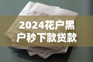 2024花户黑户秒下款贷款平台推荐